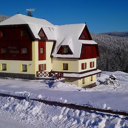 Hotel Penzion Martin Johannisbad Exterior foto