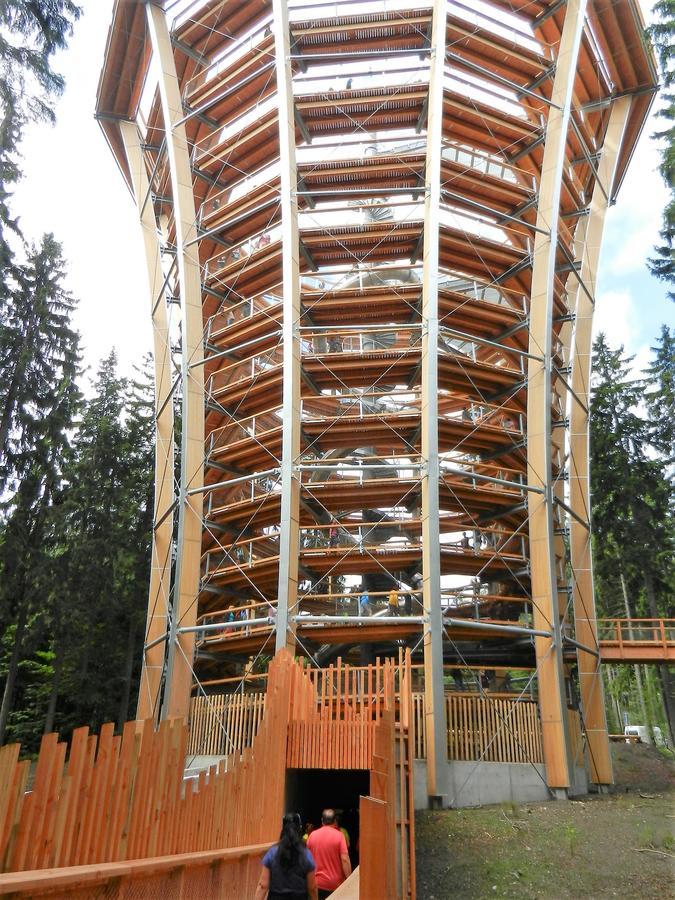 Penzion Martin Johannisbad Exterior foto